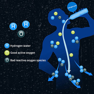 Bouilloire à filtres à ions d'hydrogène domestique pour eau riche en hydrogène
